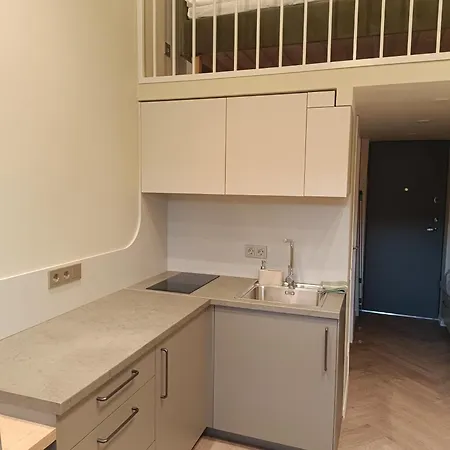 Апартаменты Mine Soul Loft Вильнюс