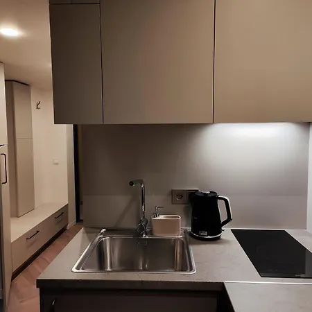Mine Soul Loft Apartment *
